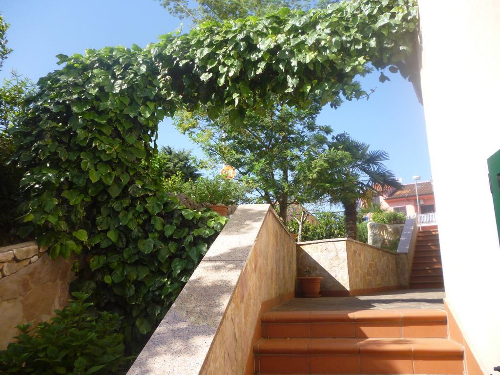 Suran * Rovinj